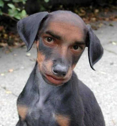 fsfsdfs