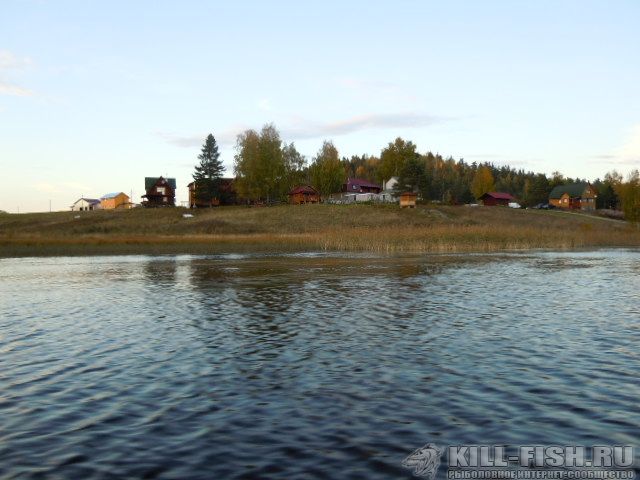 база микли ольгино