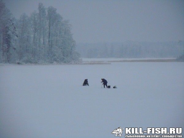 856016867 — копия.jpg