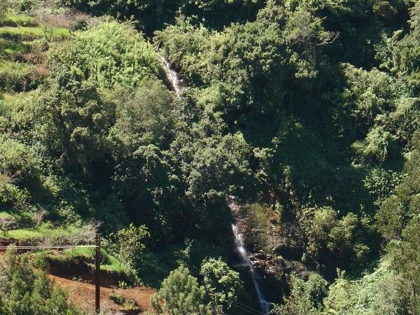 view_of_the_waterfalls_from_plot___37___38_kjuj.jpg