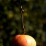 DSCN7111.JPG