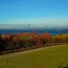 DSCN9786.JPG