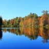 IMG_7767.JPG