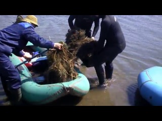 Очистка Тобола от браконьерских сетей