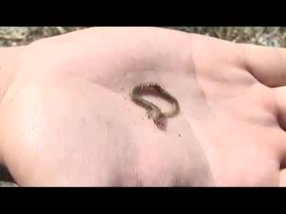 Подсекай Семёныч! Рыбалка на Азовском море. Часть 8
