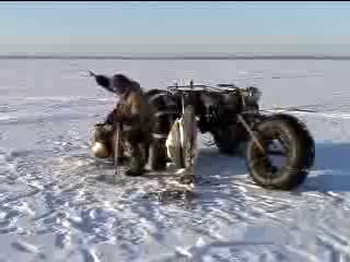 Рыбалка на Каме 
