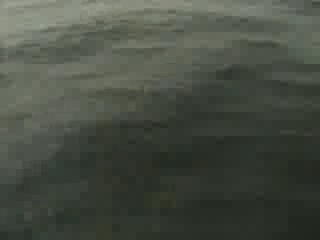Рыбалка в море