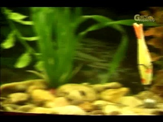  Выпуск 1. Изготовление джиг приманок. Часть 1 (Секреты рыбалки от братьев Щербаковых)