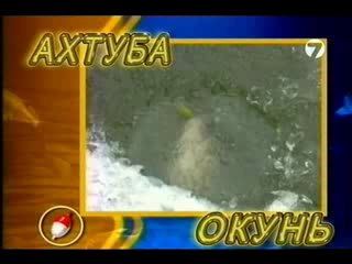 Диалоги о рыбалке - Ахтуба. Окунь. Зима.