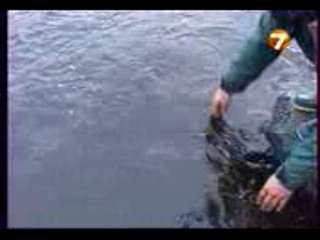 Диалоги о рыбалке - Енисей-4. Бахта. Таймень.