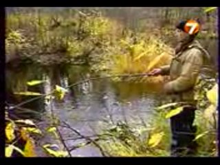 Диалоги о рыбалке - Енисей. Хариус на удочку.