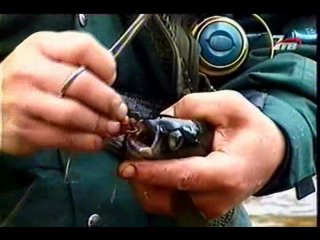 Диалоги о рыбалке - Хариус на спининг.
