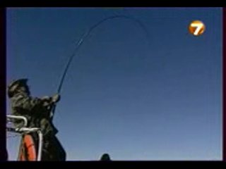 Диалоги о Рыбалке.Камчатка Терпуг Красный.