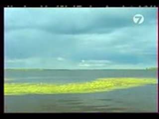 Диалоги о рыбалке - Карелия-1. Кольский полуостров.