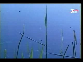 Диалоги о рыбалке - Кубань. Линь.