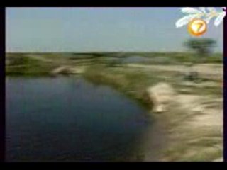 Диалоги о рыбалке - Кубань. Плавни. Пеленгас.