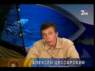 Диалоги о рыбалке - Кутум.