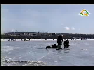 Диалоги о рыбалке - Навага. Зима.