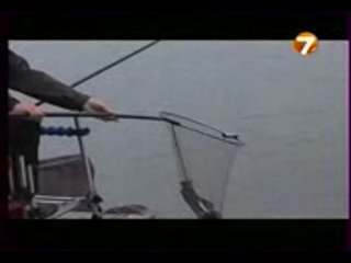 Диалоги о Рыбалке - Платные водоёмы.