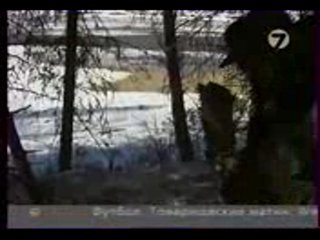 Диалоги о рыбалке - Север. Зимовье. Хариус. Уха.