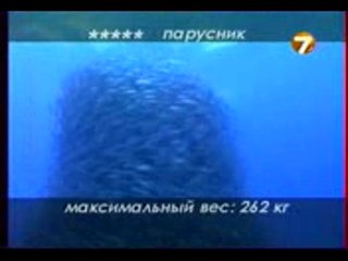 Диалоги о рыбалке - Ужение монстров.