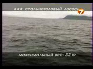 Диалоги о рыбалке - Ужение монстров.