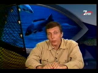 Диалоги о рыбалке - Вобла.