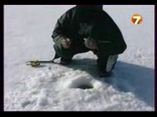 Диалоги о рыбалке - Волга. Васильсурск.