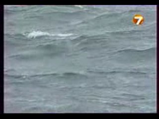 Диалоги о рыбалке за рубежом - Азербайджан. Каспий. Вырезуб. Кутум.