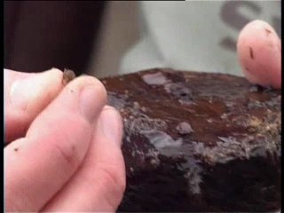 Рыбачьте с нами - Ленинградская обл. Хариус. Нахлыст.