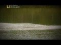 "National Geographic. На крючке: ловля монстров" - Гимносарда и желтая акула