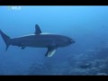 "National Geographic. На крючке: ловля монстров" - Экстремальный улов