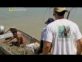"National Geographic. На крючке: ловля монстров" - Рыба-бензопила