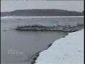 Клёвое место - Можайское вдхр. Поздняя осень.